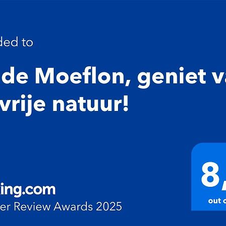 Wilde Moeflon, Geniet Van De Vrije Natuur! 오털로 외부 사진