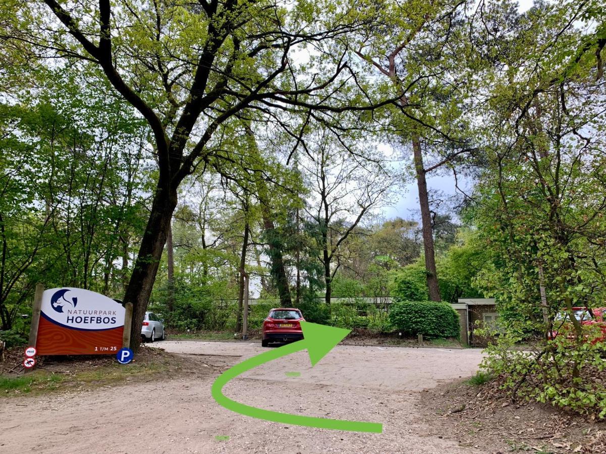 Wilde Moeflon, Geniet Van De Vrije Natuur! 오털로 외부 사진