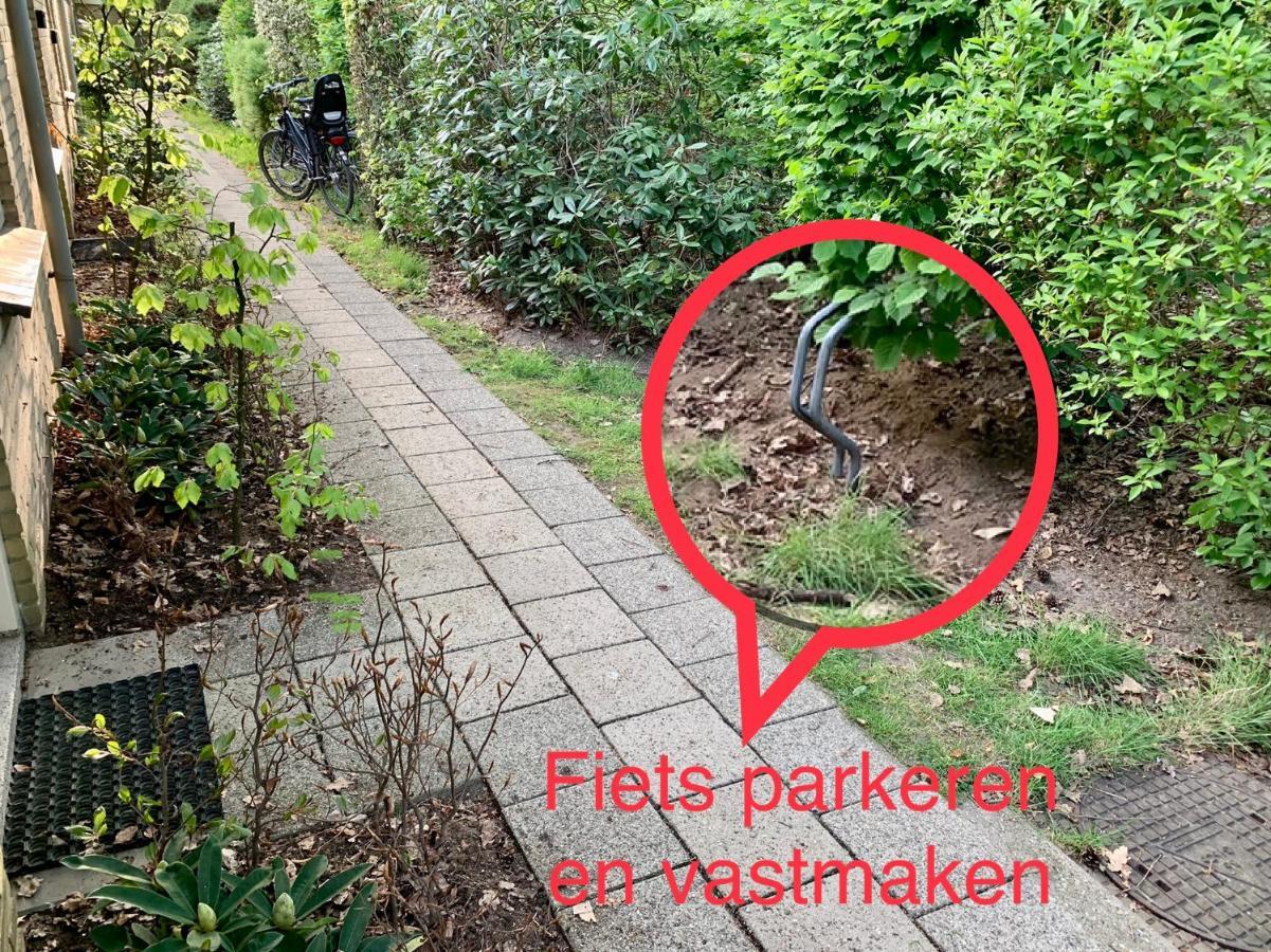 Wilde Moeflon, Geniet Van De Vrije Natuur! 오털로 외부 사진