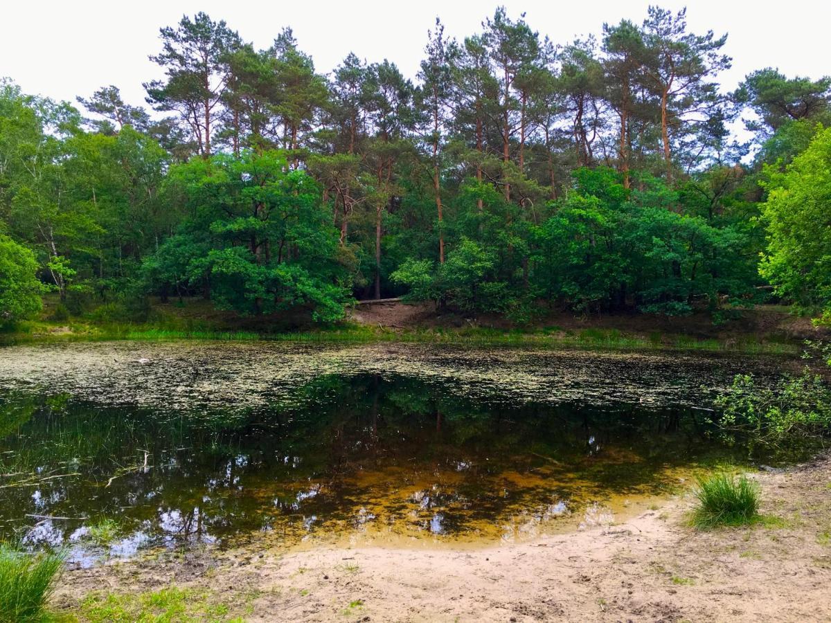 Wilde Moeflon, Geniet Van De Vrije Natuur! 오털로 외부 사진