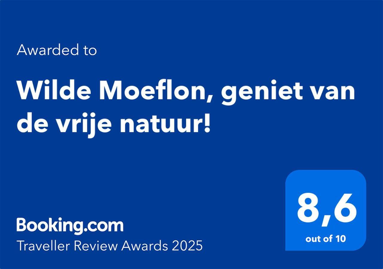 Wilde Moeflon, Geniet Van De Vrije Natuur! 오털로 외부 사진